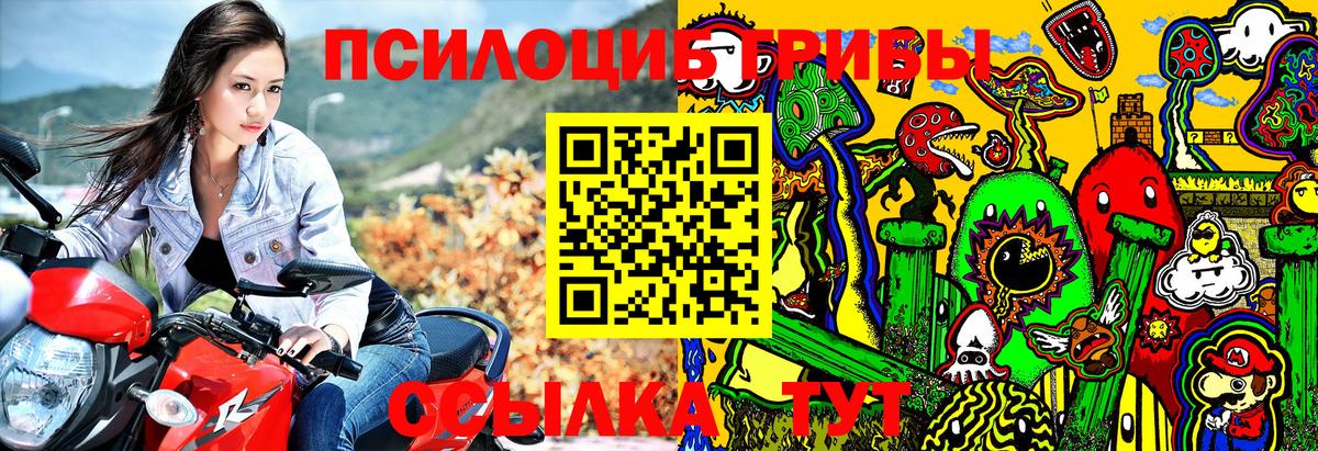 Верхняя Пышма  Галлюциногенные грибы Psilocybine cubensis  Вход с VPN 